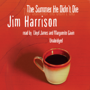 The Summer He Didn’t Die-logo
