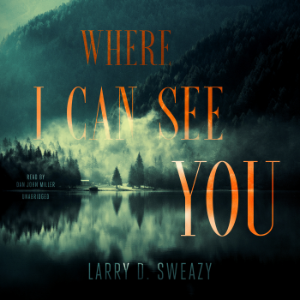 Where I Can See You-logo