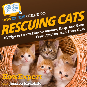HowExpert Guide to Rescuing Cats