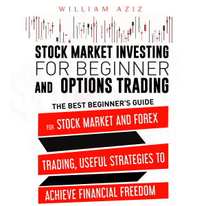 Stock Market Investing for Beginner and Options Trading