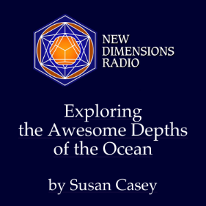 Exploring the Awesome Depths of the Ocean