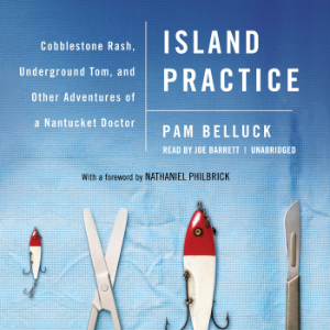 Island Practice-logo