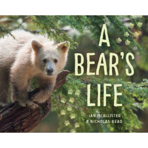 A Bear's Life