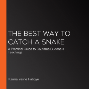 The Best Way to Catch a Snake