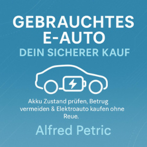 Gebrauchtes E-Auto - Dein sicherer Kauf-logo