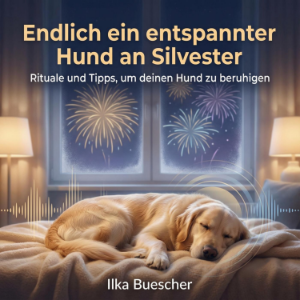Endlich ein entspannter Hund an Silvester