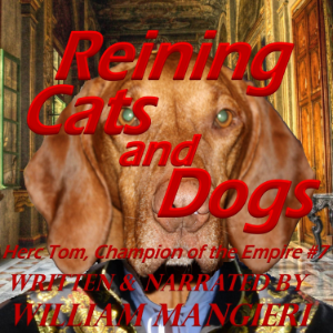 Reining Cats and Dogs