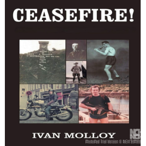 CEASEFIRE!