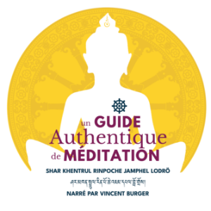 Un Guide De Méditation Authentique