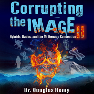 Corrupting the Image II