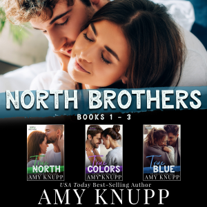 North Brothers Books 1 - 3
