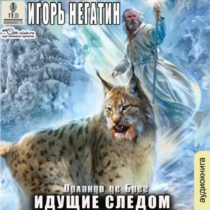 Игорь Негатин - Орландо де Брег. Книга 2. Идущие следом.