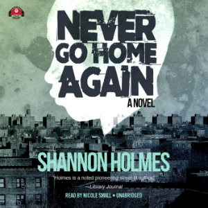 Never Go Home Again-logo