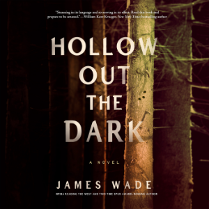 Hollow Out the Dark-logo