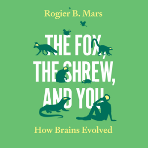 The Fox, the Shrew, and You-logo
