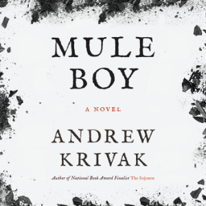 Mule Boy-logo