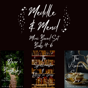 Meddle & Mend Mini Boxed Set 2