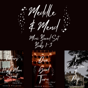 Meddle & Mend Mini Boxed Set 1