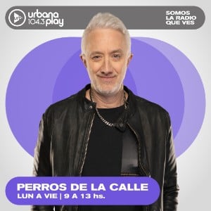 Perros de la Calle