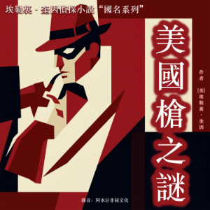 美國槍之謎