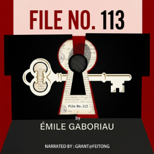 File No. 113-logo