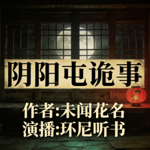 阴阳屯诡事