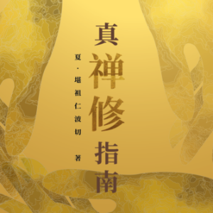 真‧禅修指南 (简体中文)