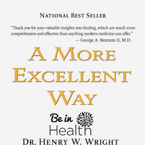 A More Excellent Way-logo