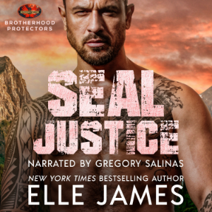SEAL JUSTICE