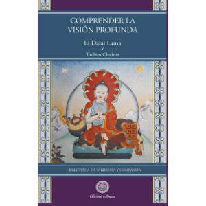 Comprender la visión profunda