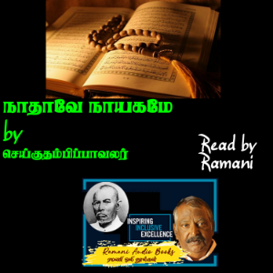 நாதாவே நாயகமே