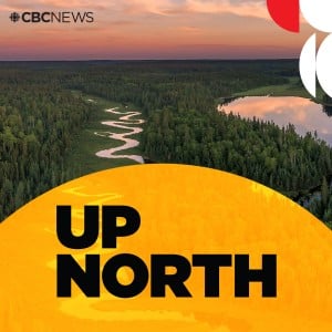 Up North