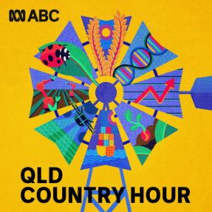 Queensland Country Hour-logo