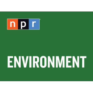 Environment-logo