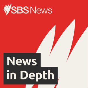 SBS News In Depth-logo