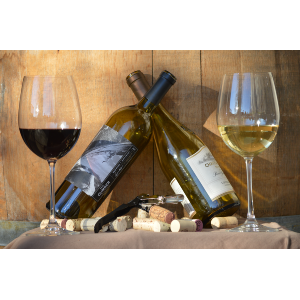 Where to buy wines
