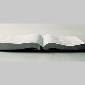 Let the Bible Speak-logo