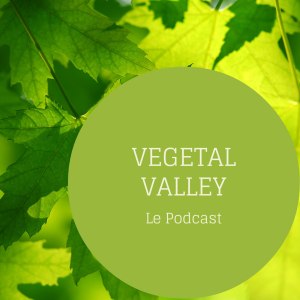 Vegetal Valley - Entrepreunariat local à Liège-logo