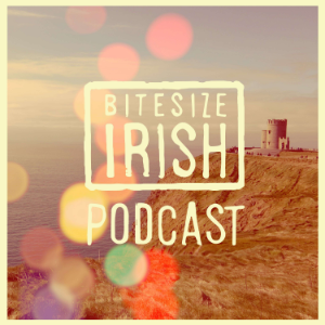 Bitesize Irish Podcast-logo