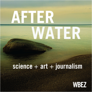 After Water-logo