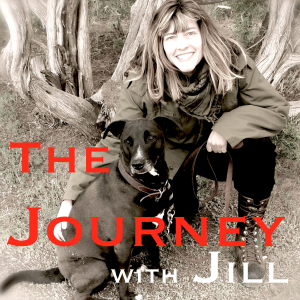 The Journey with Jill-logo