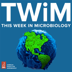 This Week in Microbiology-logo
