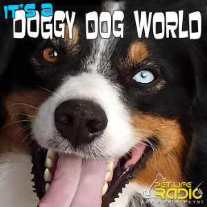 It's A Doggy Dog World - Dog Podcast - Pet Life Radio Original-logo