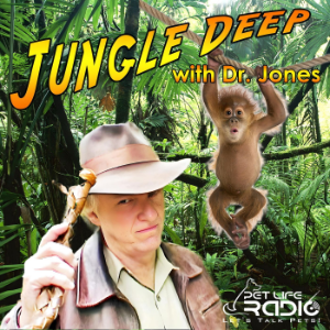 Jungle Deep - The Tropical Lifestyle Podcast- Pet Life Radio Original