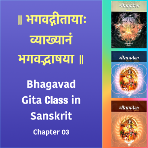 Bhagavad Gita Class (Ch3) in Sanskrit by Dr. K.N. Padmakumar (Samskrita Bharati)