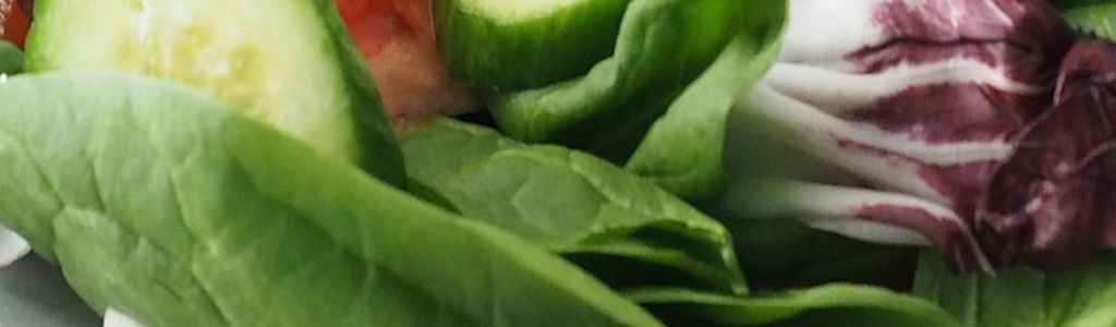 Song Salad