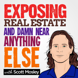 Exposing Real Estate and Damn Near Anything Else.-logo