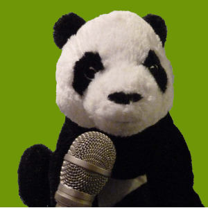 smallVOICE-logo