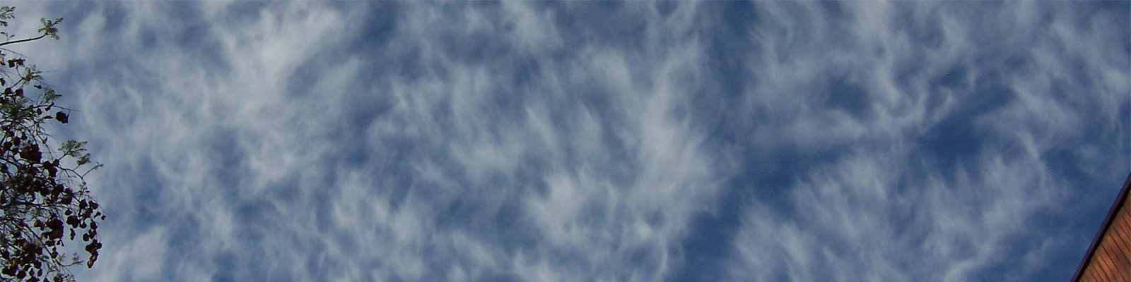 What Is It About The Weather