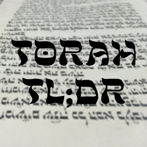 Rabbi_360-logo